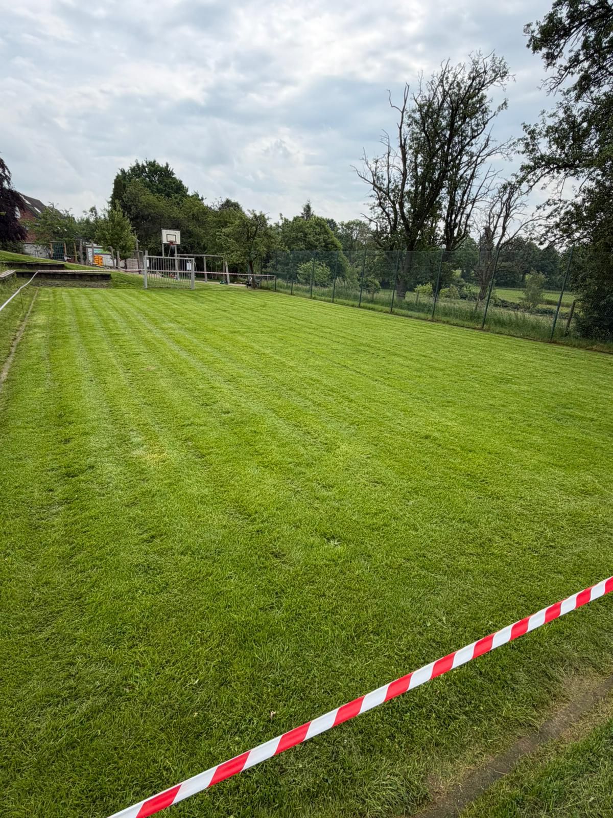 Das neu gepflegte Wiesengelände